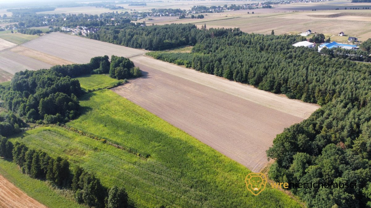 Działka budowlana na sprzedaż Poniatowice  86 627m2 Foto 4