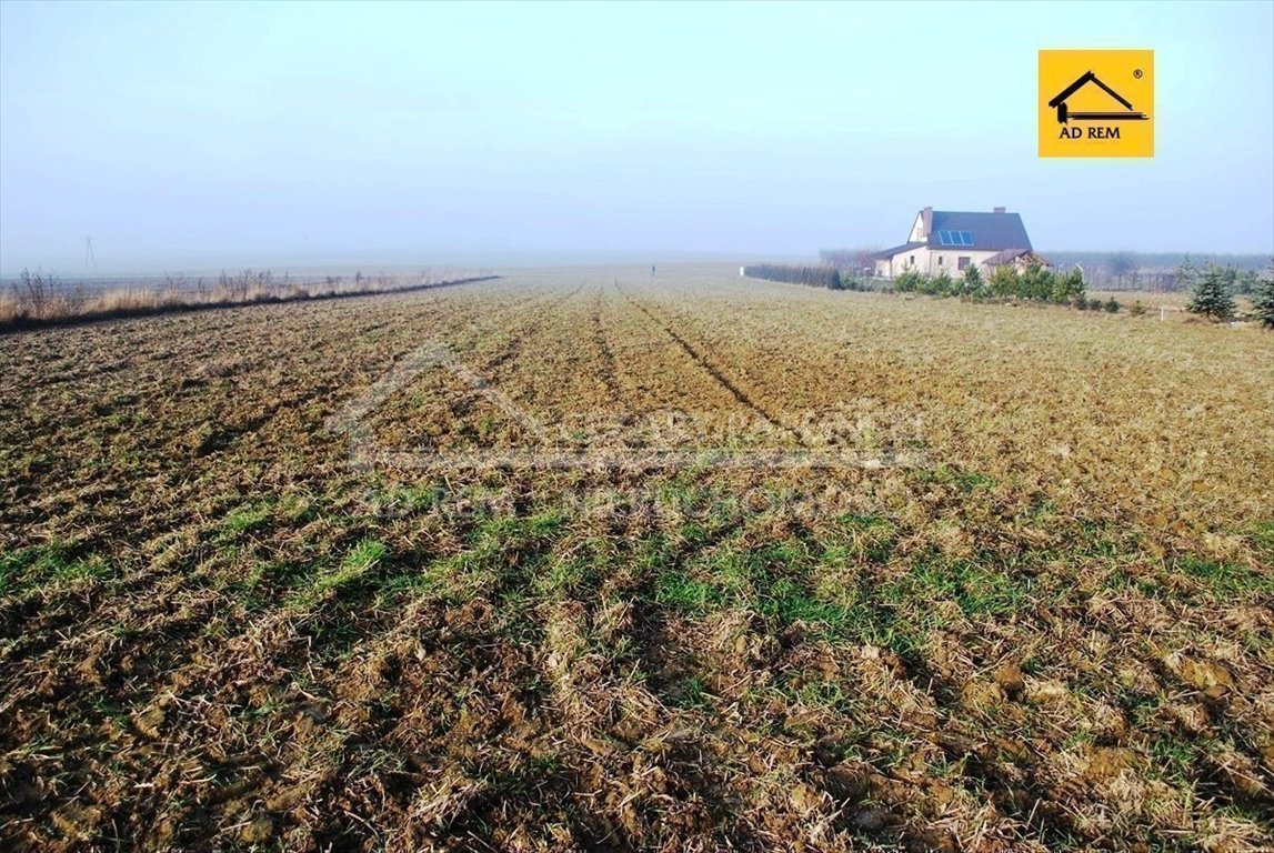 Działka budowlana na sprzedaż Dziuchów, Dziuchów  1 355m2 Foto 1