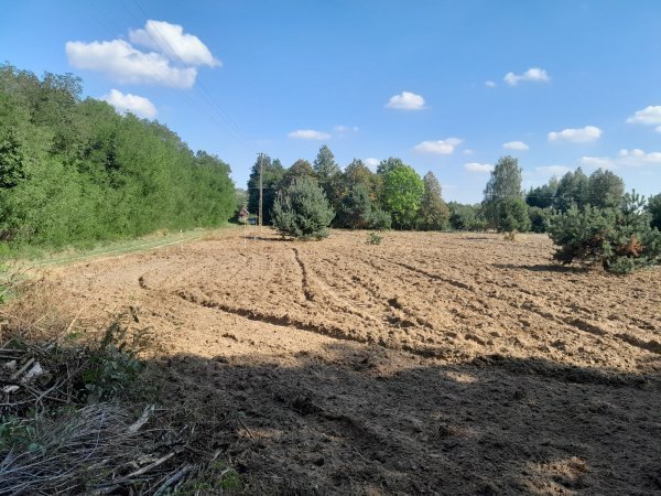 Działka siedliskowa na sprzedaż Guzew  1 100m2 Foto 5