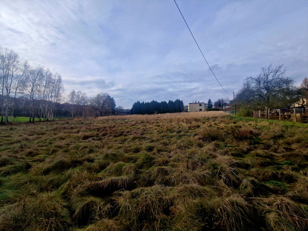 Działka inwestycyjna na sprzedaż Łaziska Górne, Rybnicka  5 119m2 Foto 2