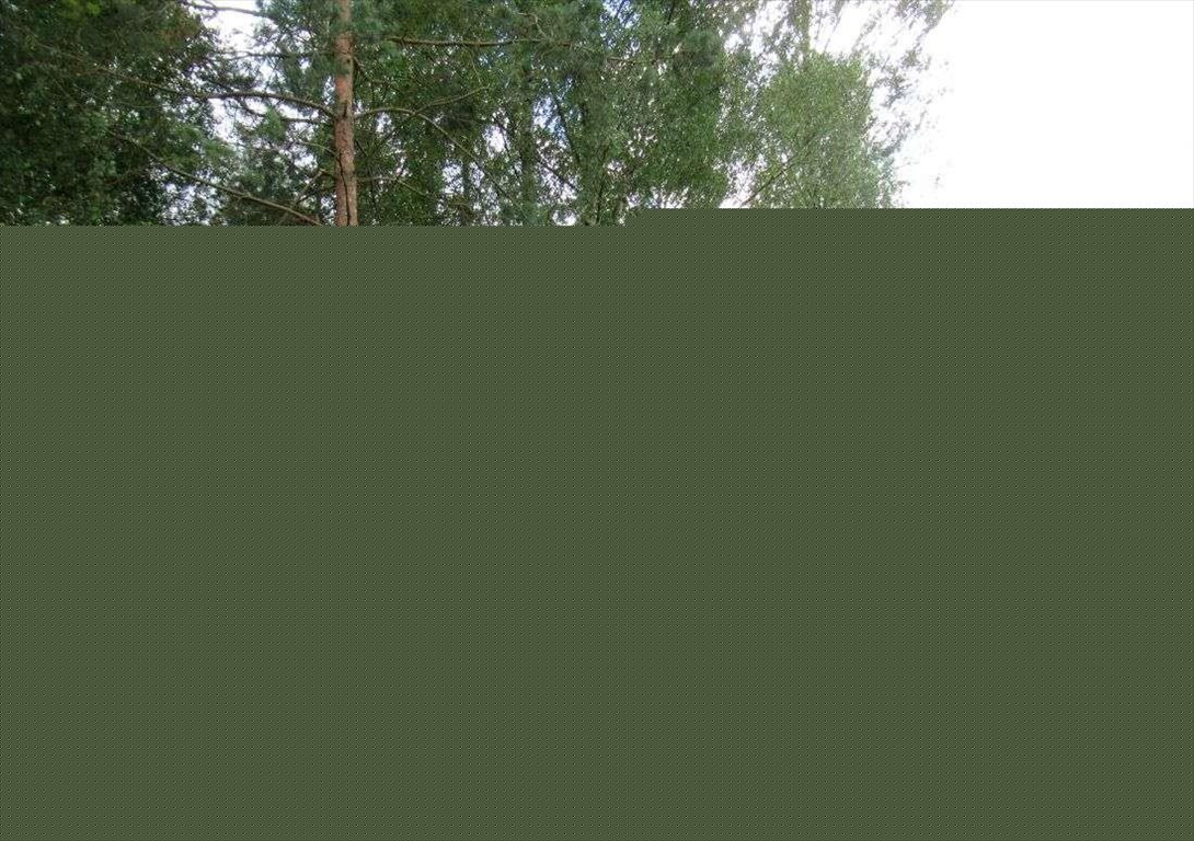 Działka 4819 m² z panoramą i mediami, blisko Kielc Ciosowa, Ślefarnia  4 819m2 Foto 1