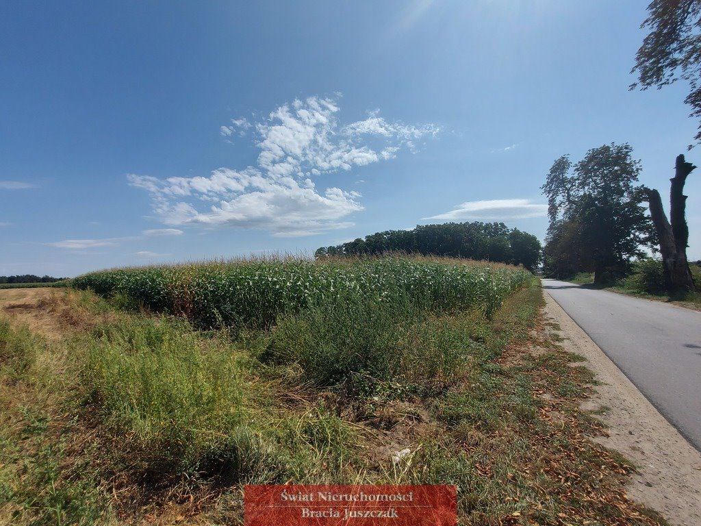 Działka budowlana na sprzedaż Krzeczyn  30 010m2 Foto 1