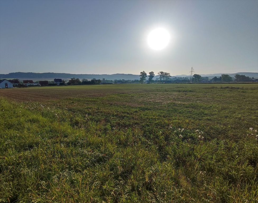 Działka budowlana na sprzedaż Czadrów  1 545m2 Foto 5