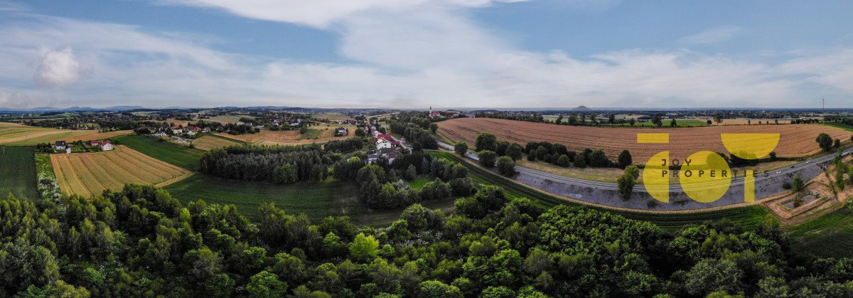 Działka budowlana na sprzedaż Brzezie  9 300m2 Foto 6