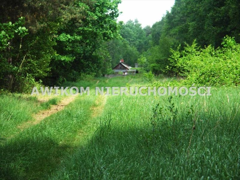 Działka rolna na sprzedaż Skierniewice, Borowiny  35 900m2 Foto 6