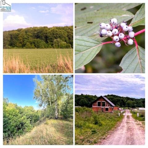 Działka budowlana na sprzedaż Radzionków, Knosały  633m2 Foto 3