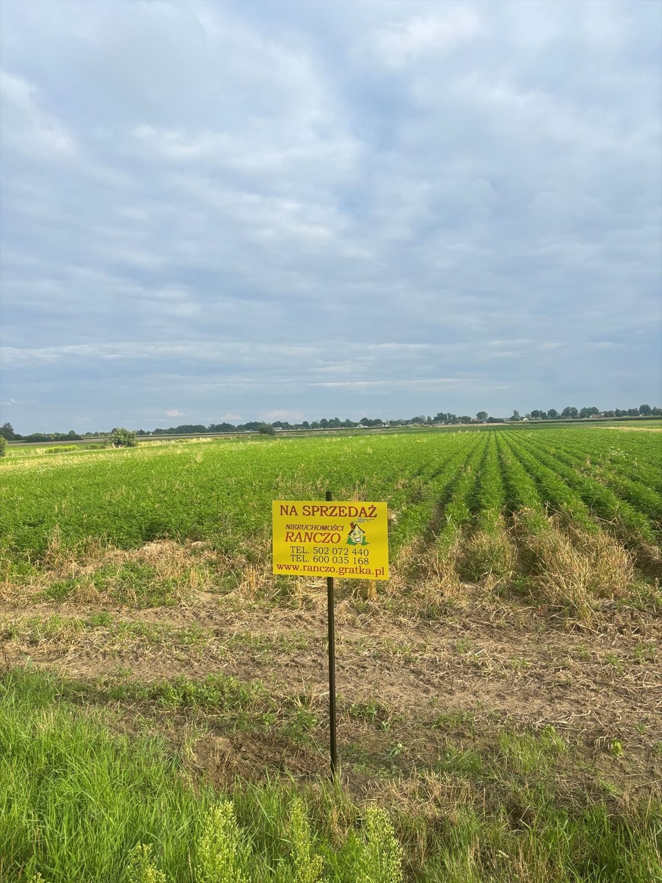 Działka budowlana na sprzedaż Strojec  3 000m2 Foto 1