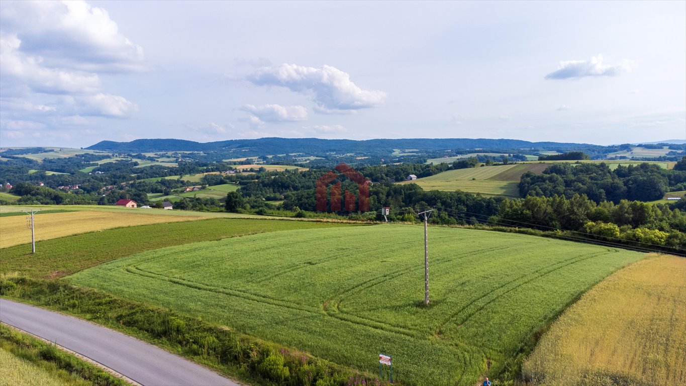 Działka budowlana na sprzedaż Wielopole Skrzyńskie  3 650m2 Foto 2