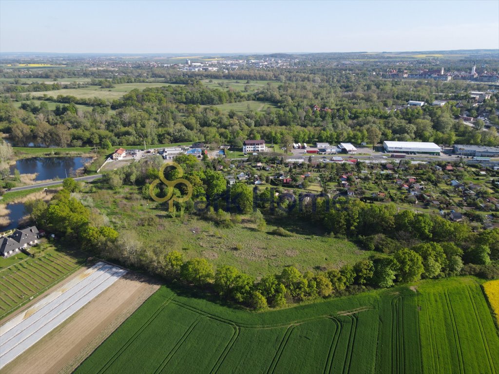 Działka inwestycyjna na sprzedaż Serby  18 900m2 Foto 10