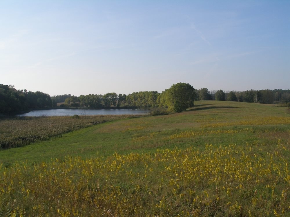 Działka z własnym jeziorem i warunkami zabudowy - zapraszam Stradzewo  99 100m2 Foto 1