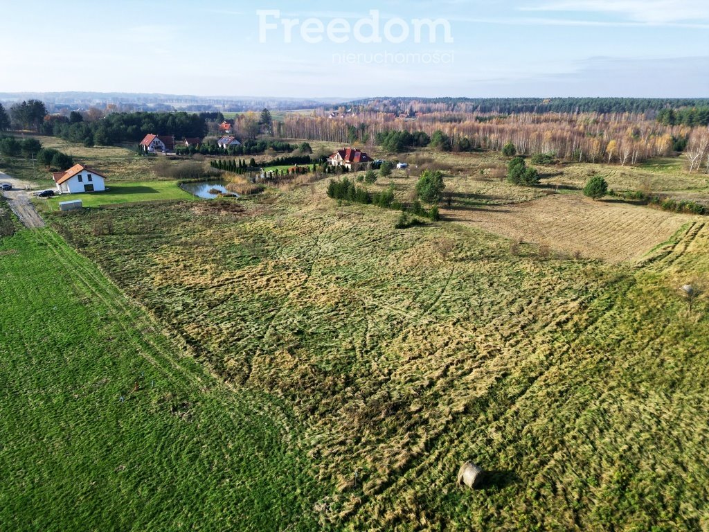 Działka rolna na sprzedaż Woryty  3 106m2 Foto 10