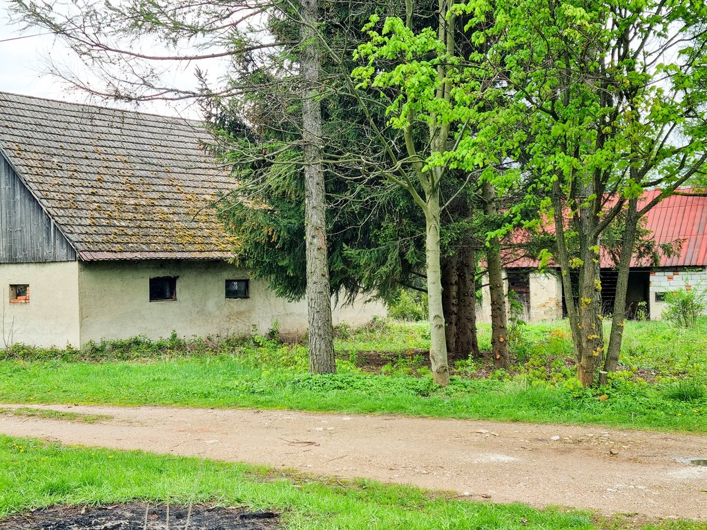 Dom na sprzedaż Domaszków  100m2 Foto 3