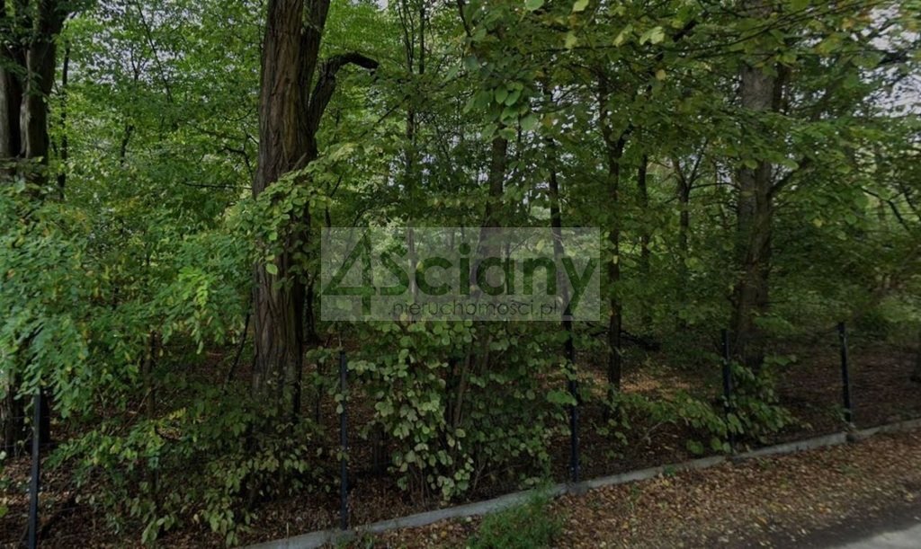 Działka budowlana 2819 m² z warunkami zabudowy, zadrzewiona Milanówek  2 819m2 Foto 1