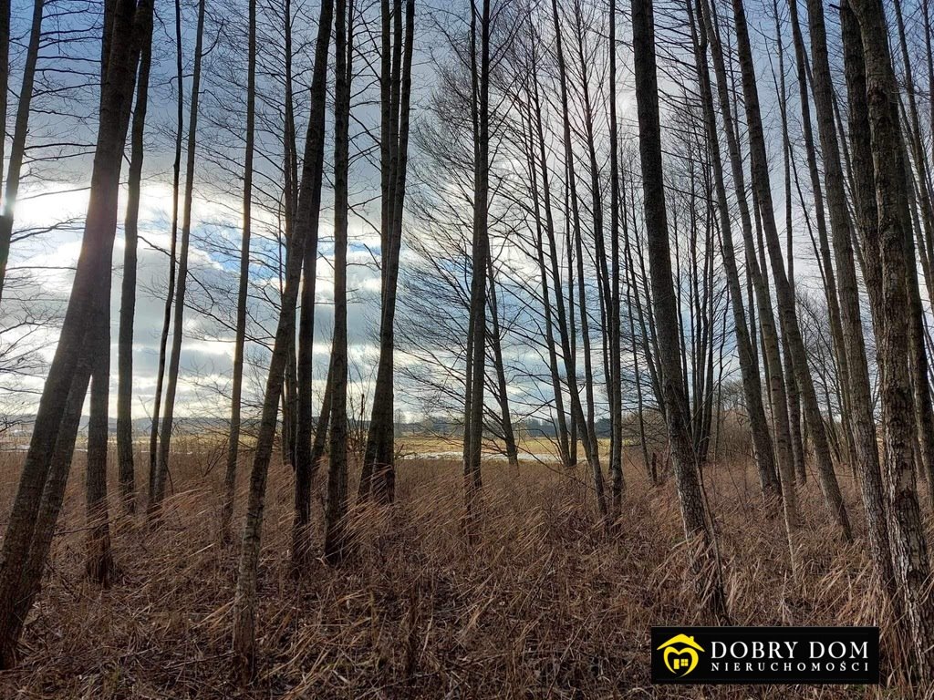 Działka rolna na sprzedaż Podzałuki  4 900m2 Foto 5