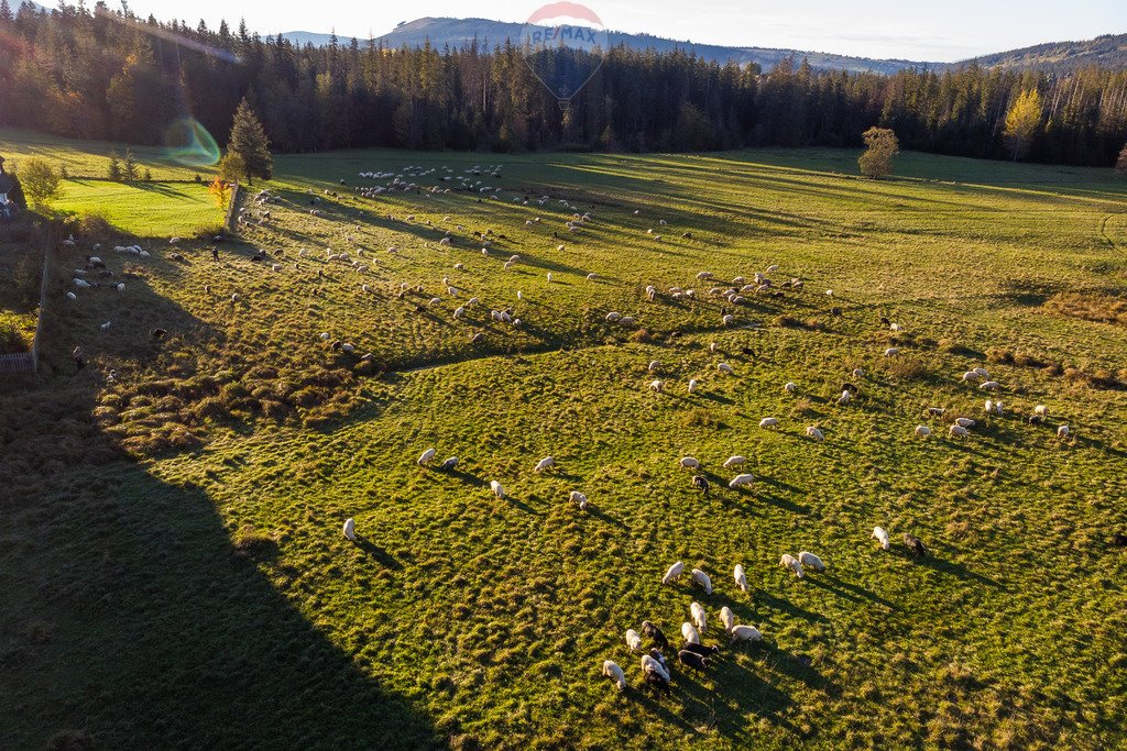 Działka rolna na sprzedaż Kościelisko  2 957m2 Foto 16