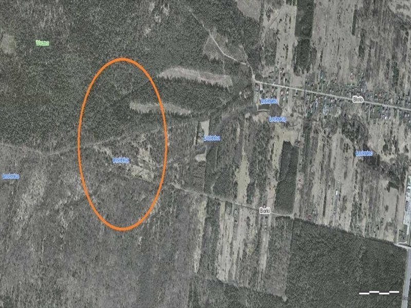 Działka leśna na sprzedaż Suchedniów 9 627m2 Foto 1 Działka leśna na sprzedaż Suchedniów 9 627m2 Foto 1