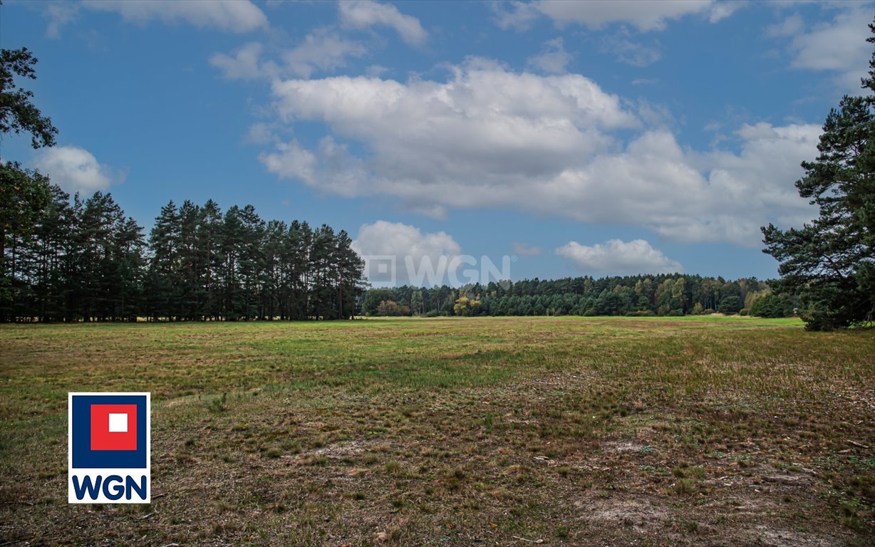 Działka rolna na sprzedaż Ołobok, centrum  91 500m2 Foto 6