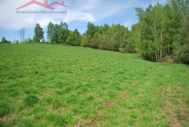 Działka 14,69a z lasem i strumykiem, rekreacja i usługi Korczyna  1 469m2 Foto 1