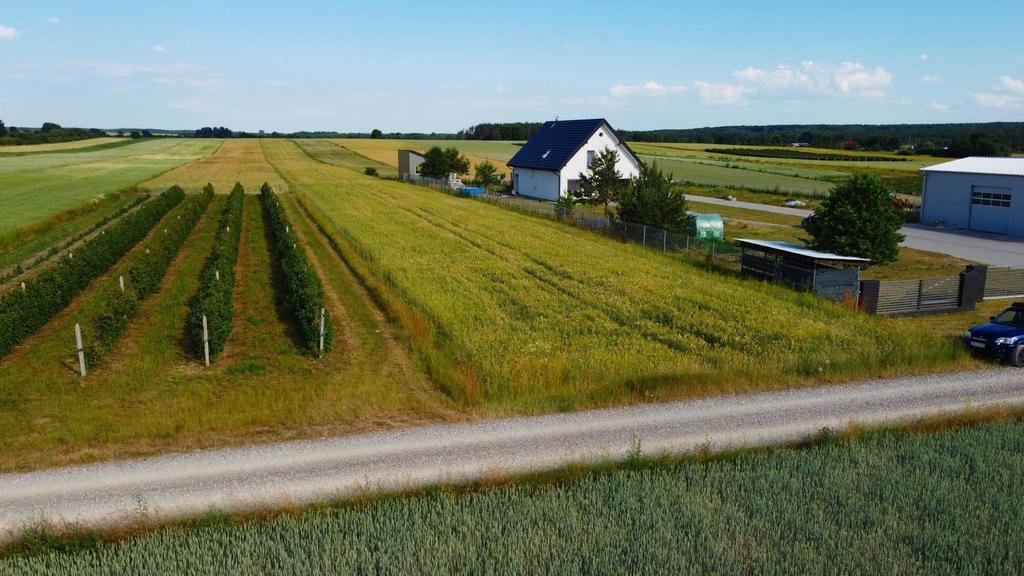 Działka rolna 1,17 ha z warunkami zabudowy w Borów-Kolonii Borów-Kolonia  11 700m2 Foto 1