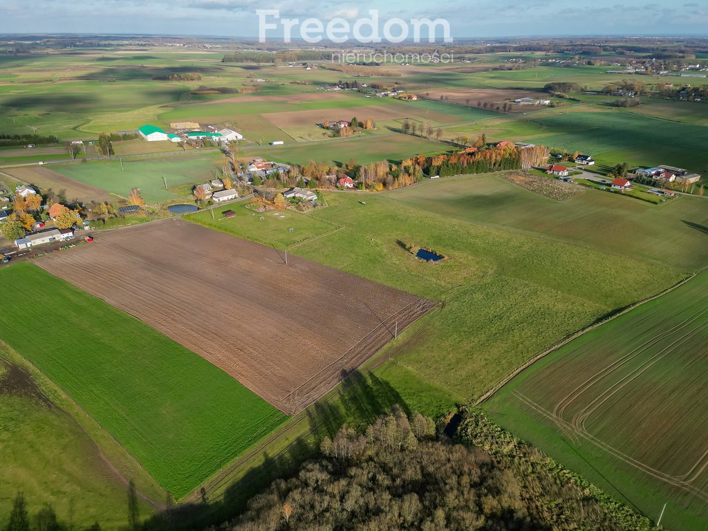 Działka inna na sprzedaż Laseczno, Laseczno Małe  3 001m2 Foto 10