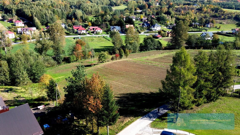 Działka budowlana na sprzedaż Chmielnik  4 800m2 Foto 5