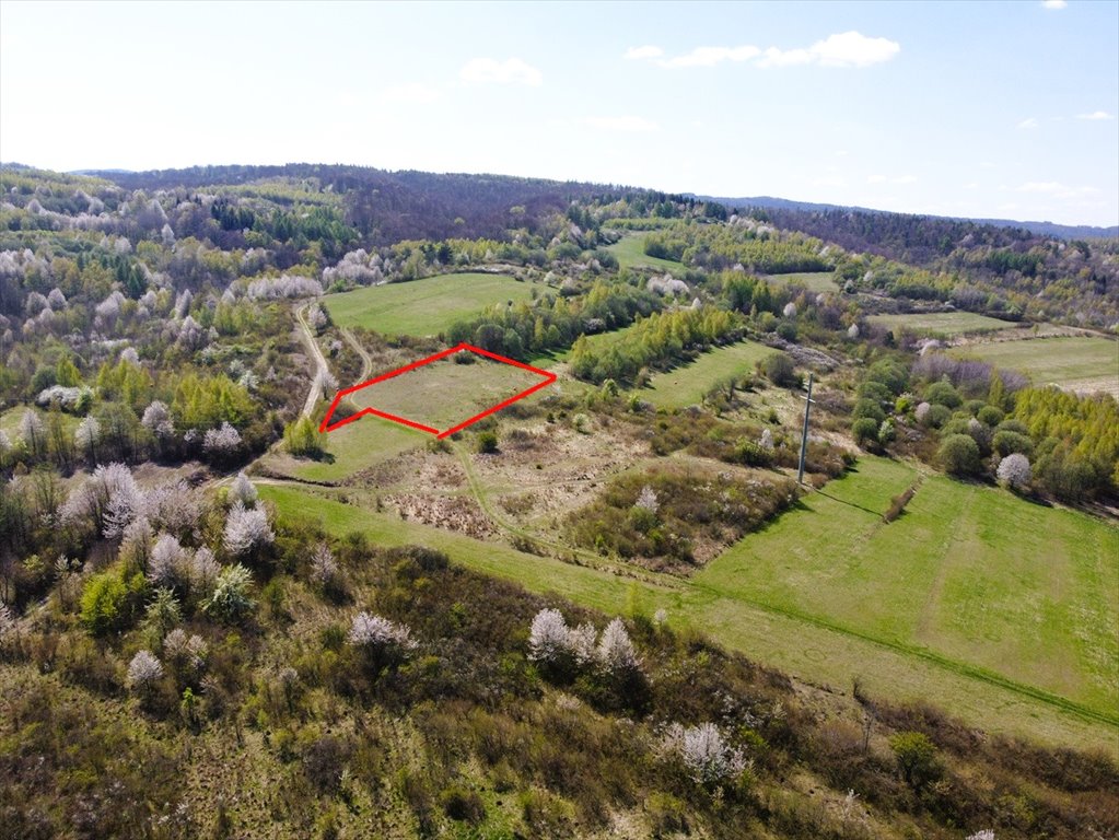 Działka rolna 38 ar z widokami, dostęp drogą gminną Makowiska  3 800m2 Foto 1