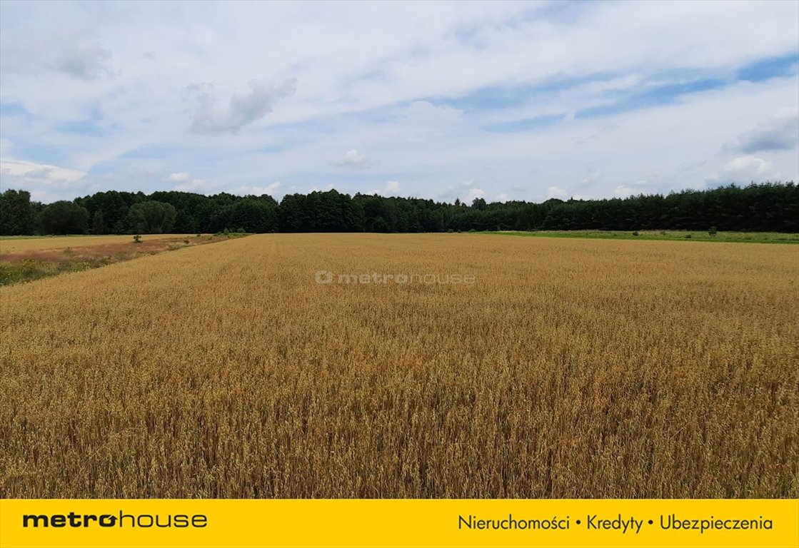 Działka rolna na sprzedaż Żeliszew Podkościelny  14 313m2 Foto 6