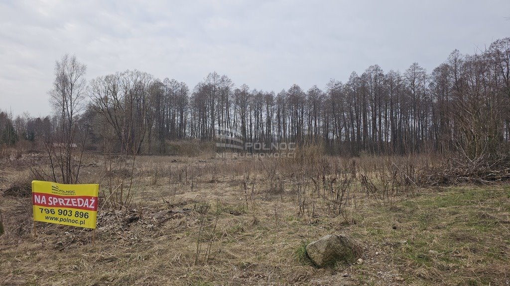 Działka rolna na sprzedaż Rogojny  3 000m2 Foto 2