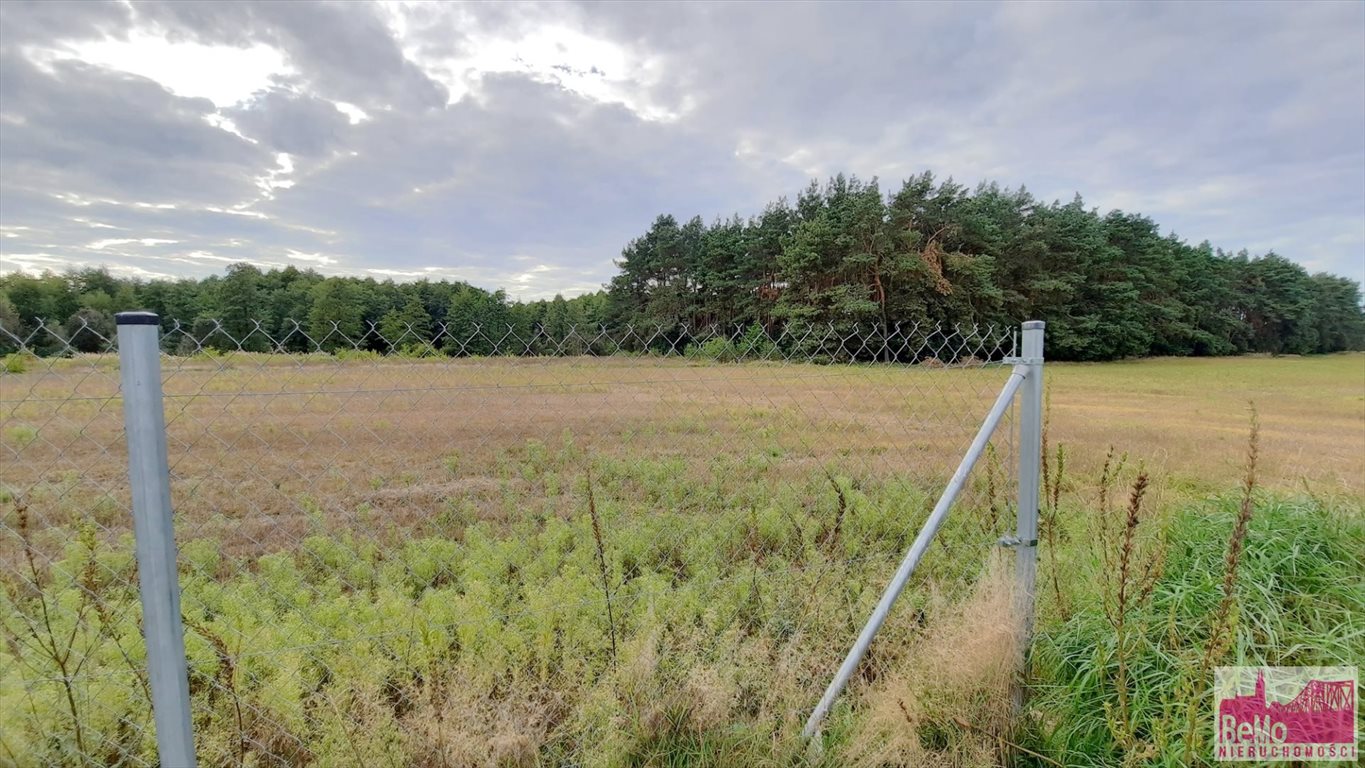 Działka inna na sprzedaż Winduga  1 580m2 Foto 4