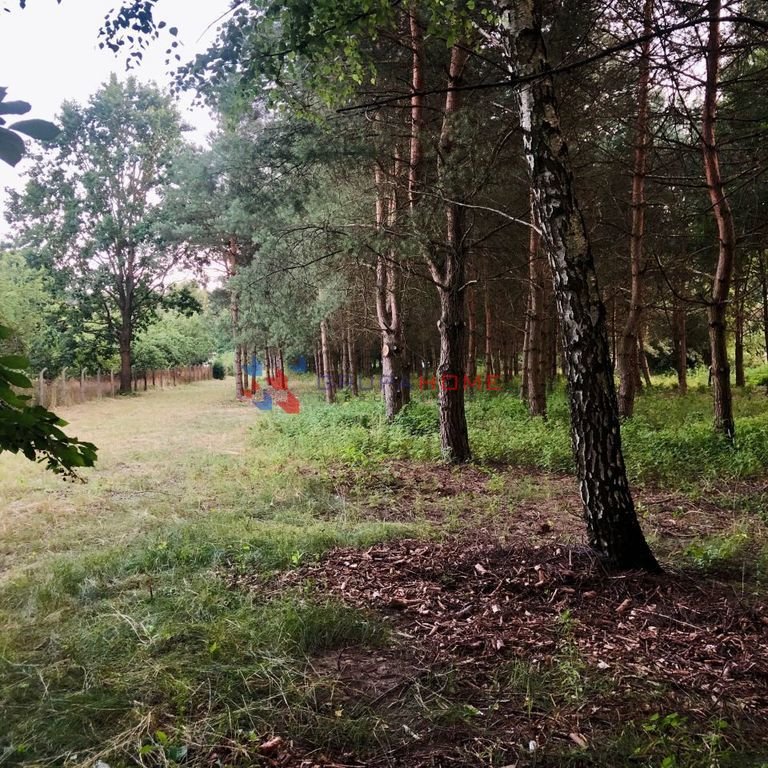 Działka 3400 m² z warunkami zabudowy, blisko Warszawy Mieszkowo  3 400m2 Foto 1