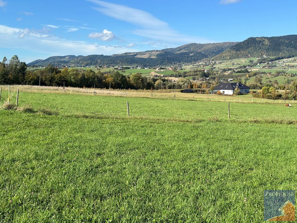 Działka budowlana na sprzedaż Męcina  6 600m2 Foto 9