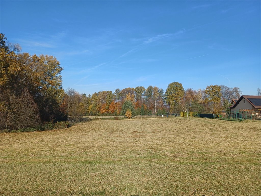 Działka budowlana na sprzedaż Pisarzowice  2 362m2 Foto 1