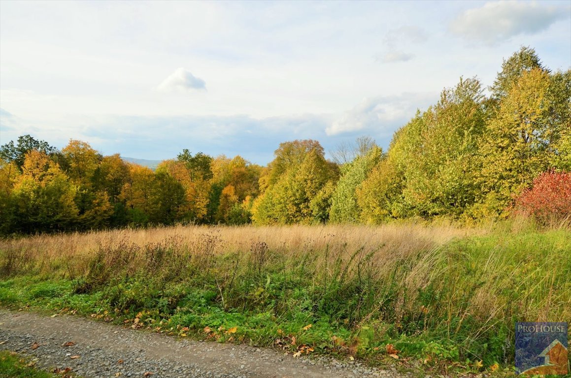 Działka inna na sprzedaż Kostrza  2 500m2 Foto 13