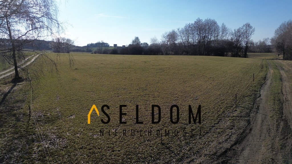 Działka rekreacyjna nad jeziorem w Głodowie 4500 m2 Głodowo  4 500m2 Foto 1