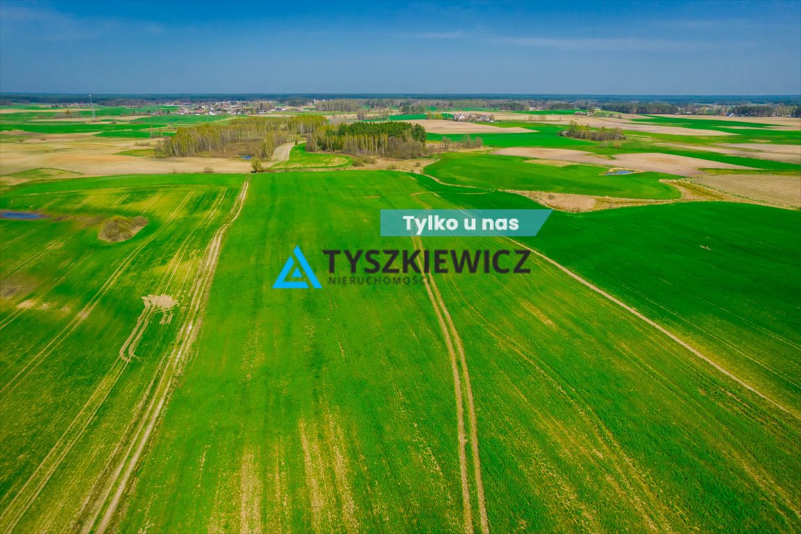Działka rolna 28 ha w Kaszubach, las, spokój, inwestycja Budziska  280 005m2 Foto 1