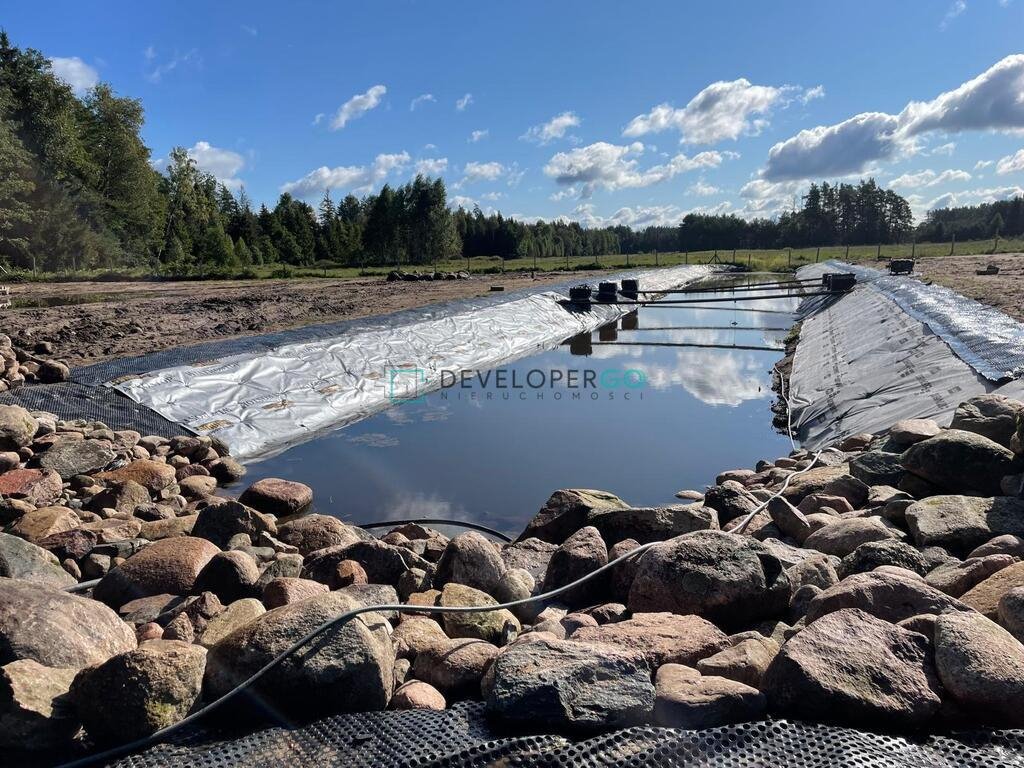 Działka budowlana na sprzedaż Gorczyca  5 300m2 Foto 6