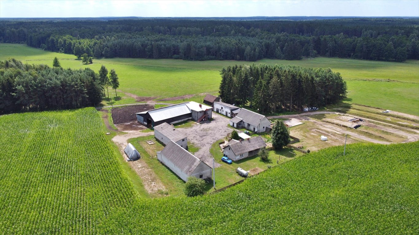 Lokal użytkowy na sprzedaż Gawrzyjałki  340 000m2 Foto 13