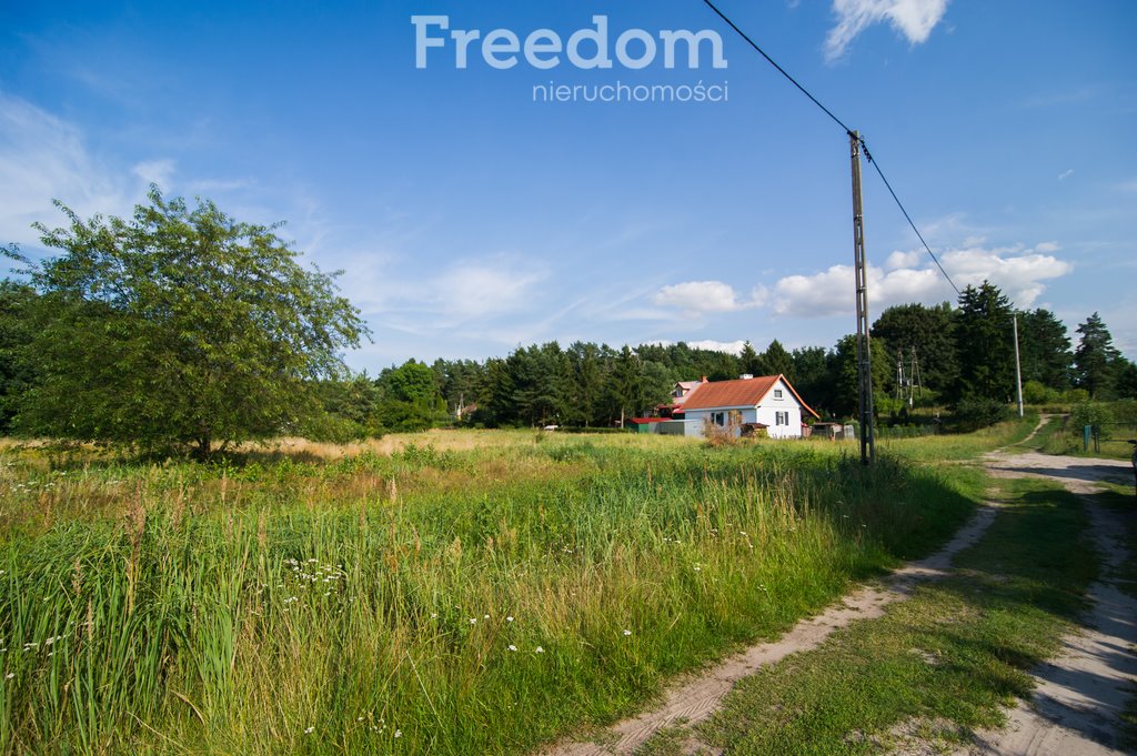 Działka budowlana na sprzedaż Junoszyno, Brzozowa  8 300m2 Foto 10