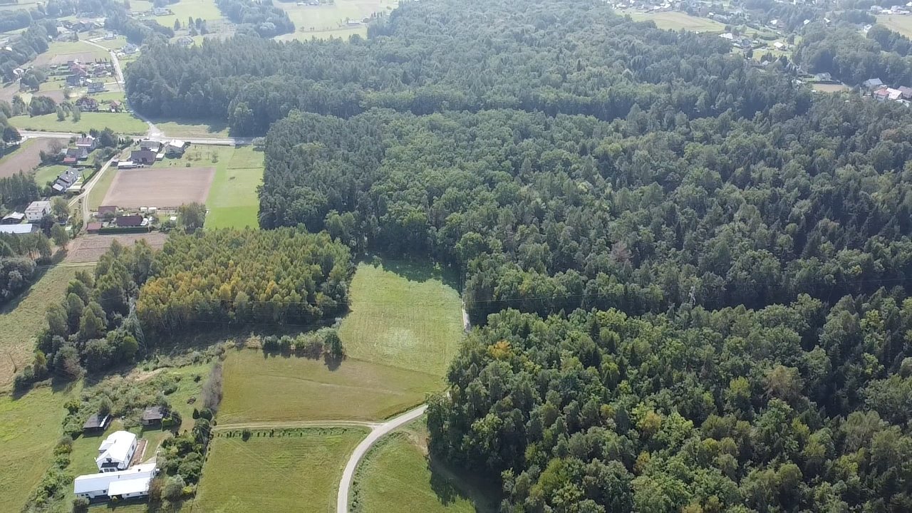 Działka budowlana na sprzedaż Kobylanka  6 000m2 Foto 4