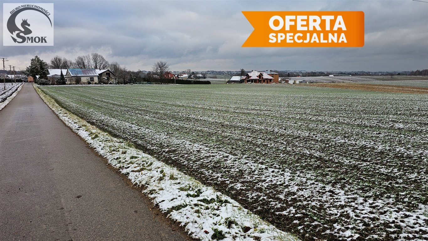 Działka budowlana na sprzedaż Lesieniec  1 300m2 Foto 3