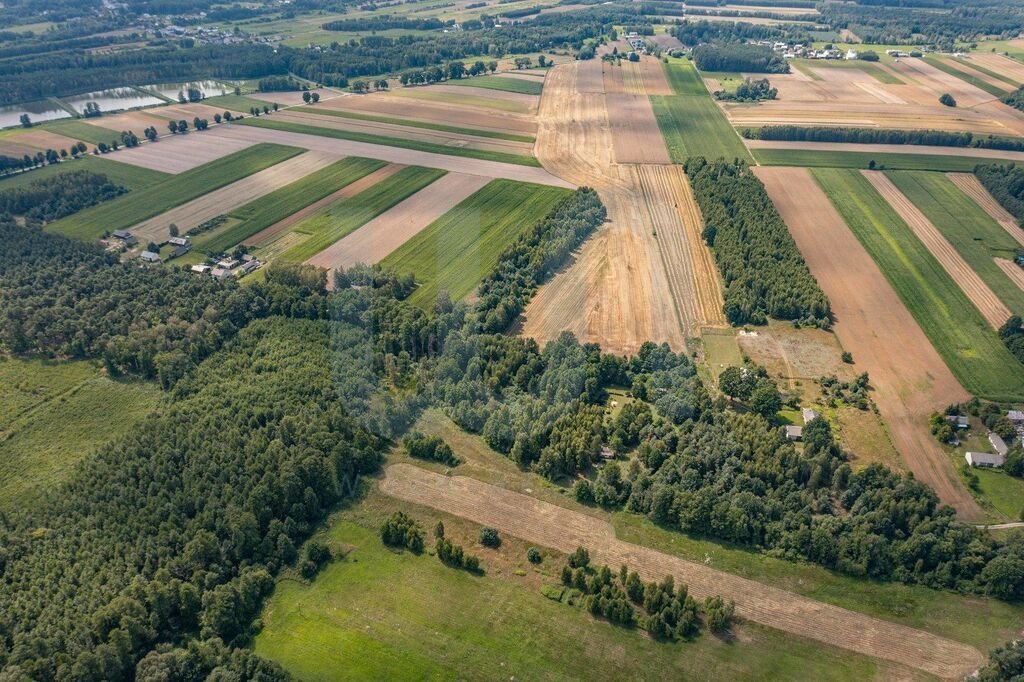 Działka budowlana na sprzedaż Rowy  6 400m2 Foto 4