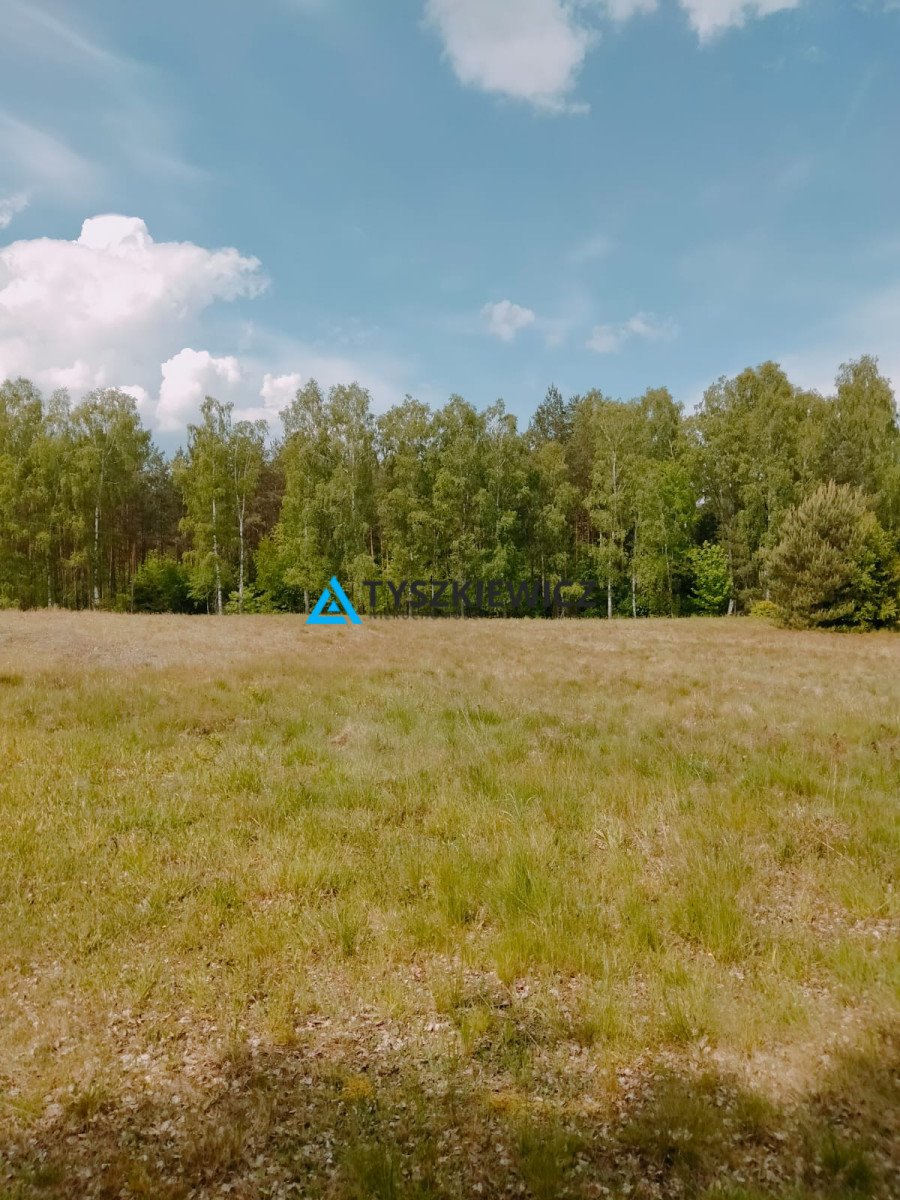 Działka przemysłowo-handlowa na sprzedaż Stara Kiszewa, Leśna  13 199m2 Foto 1