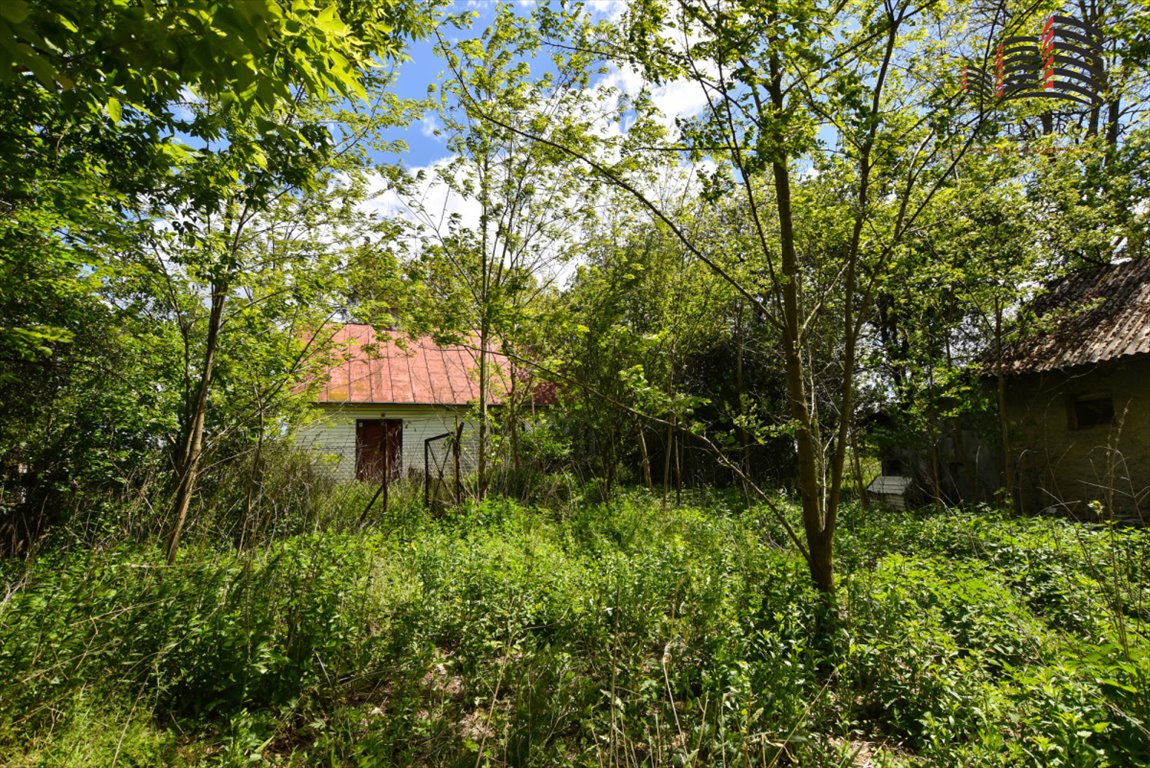 Zapraszam do siedliska w Strzelcach z domem 50 m² i działką 1,6 ha Strzelce  50m2 Foto 1