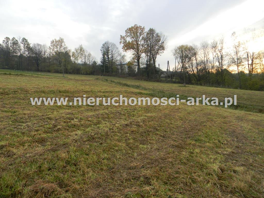 Działka inna na sprzedaż Jodłownik 6 000m2 Foto 1 Działka inna na sprzedaż Jodłownik 6 000m2 Foto 1