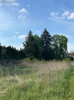 Działka budowlana na sprzedaż Góraszka, Adama Mickiewicza  3 630m2 Foto 2