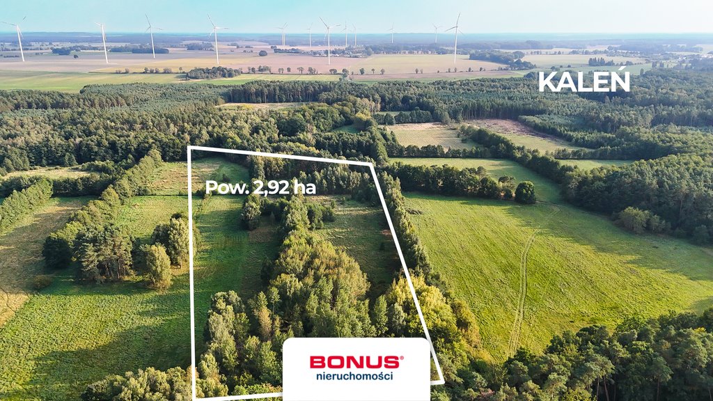 Duża działka rolna 2,92 ha z możliwością rozwoju polecam Kaleń  29 200m2 Foto 1