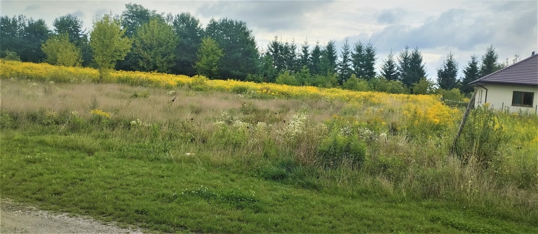 Działka inna na sprzedaż Leszno  1 000m2 Foto 4