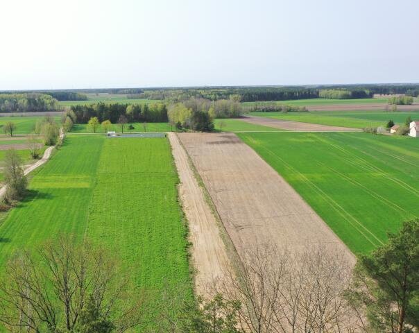 Działka budowlana na sprzedaż Szczepankowo  1 017m2 Foto 3