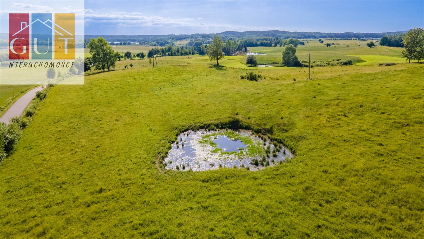 Działka rolna na sprzedaż Blanki  47 100m2 Foto 10