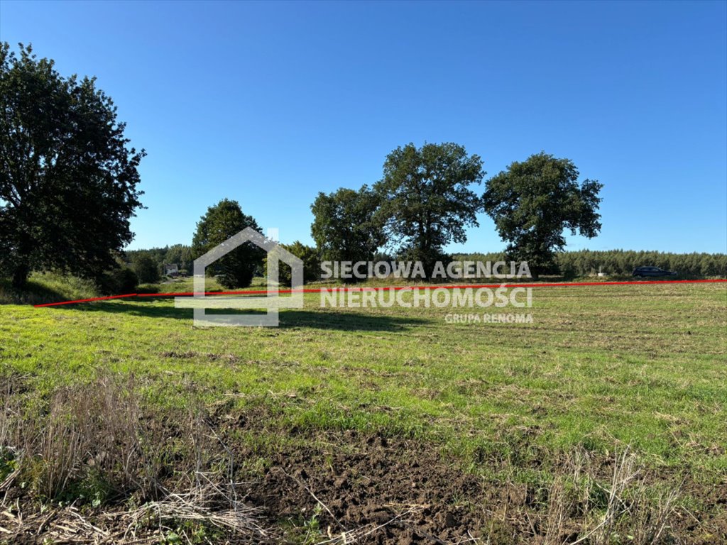 Działka budowlana na sprzedaż Goszyn  3 000m2 Foto 1